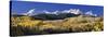 USA, Colorado, Rocky Mountains, Aspens, Autumn-null-Stretched Canvas