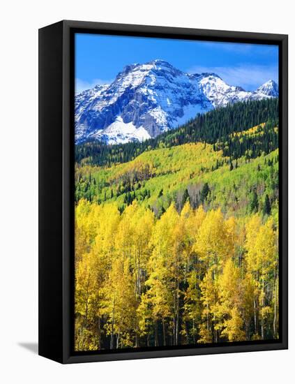 USA, Colorado, Rocky Mountains, Autumn in the Rockies-Jaynes Gallery-Framed Stretched Canvas