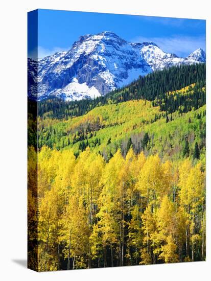 USA, Colorado, Rocky Mountains, Autumn in the Rockies-Jaynes Gallery-Stretched Canvas