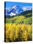 USA, Colorado, Rocky Mountains, Autumn in the Rockies-Jaynes Gallery-Stretched Canvas