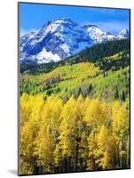 USA, Colorado, Rocky Mountains, Autumn in the Rockies-Jaynes Gallery-Mounted Photographic Print