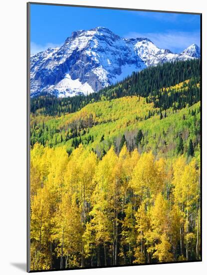 USA, Colorado, Rocky Mountains, Autumn in the Rockies-Jaynes Gallery-Mounted Photographic Print