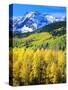 USA, Colorado, Rocky Mountains, Autumn in the Rockies-Jaynes Gallery-Stretched Canvas