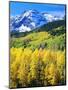 USA, Colorado, Rocky Mountains, Autumn in the Rockies-Jaynes Gallery-Mounted Photographic Print
