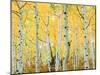 USA, Colorado, Rocky Mountains, Fall Colors of Aspen Trees-Jaynes Gallery-Mounted Premium Photographic Print