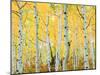 USA, Colorado, Rocky Mountains, Fall Colors of Aspen Trees-Jaynes Gallery-Mounted Photographic Print