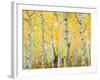 USA, Colorado, Rocky Mountains, Fall Colors of Aspen Trees-Jaynes Gallery-Framed Photographic Print