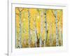 USA, Colorado, Rocky Mountains, Fall Colors of Aspen Trees-Jaynes Gallery-Framed Photographic Print