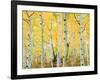 USA, Colorado, Rocky Mountains, Fall Colors of Aspen Trees-Jaynes Gallery-Framed Photographic Print