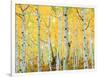 USA, Colorado, Rocky Mountains, Fall Colors of Aspen Trees-Jaynes Gallery-Framed Photographic Print