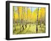 USA, Colorado, Rocky Mountains. Fall Colors of Aspen Trees-Jaynes Gallery-Framed Premium Photographic Print