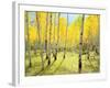 USA, Colorado, Rocky Mountains. Fall Colors of Aspen Trees-Jaynes Gallery-Framed Photographic Print