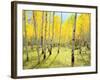 USA, Colorado, Rocky Mountains. Fall Colors of Aspen Trees-Jaynes Gallery-Framed Photographic Print