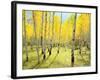 USA, Colorado, Rocky Mountains. Fall Colors of Aspen Trees-Jaynes Gallery-Framed Photographic Print