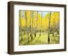 USA, Colorado, Rocky Mountains. Fall Colors of Aspen Trees-Jaynes Gallery-Framed Photographic Print