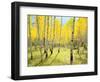 USA, Colorado, Rocky Mountains. Fall Colors of Aspen Trees-Jaynes Gallery-Framed Photographic Print