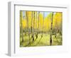 USA, Colorado, Rocky Mountains. Fall Colors of Aspen Trees-Jaynes Gallery-Framed Photographic Print