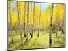 USA, Colorado, Rocky Mountains. Fall Colors of Aspen Trees-Jaynes Gallery-Mounted Photographic Print