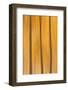 USA, Colorado, San Juan Mountains. Aspen tree abstract.-Jaynes Gallery-Framed Photographic Print