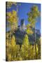 USA, Colorado, San Juan Mountains. Aspen trees frame Chimney Rock formation.-Jaynes Gallery-Stretched Canvas