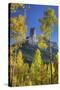 USA, Colorado, San Juan Mountains. Aspen trees frame Chimney Rock formation.-Jaynes Gallery-Stretched Canvas