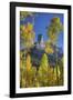 USA, Colorado, San Juan Mountains. Aspen trees frame Chimney Rock formation.-Jaynes Gallery-Framed Photographic Print