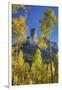 USA, Colorado, San Juan Mountains. Aspen trees frame Chimney Rock formation.-Jaynes Gallery-Framed Photographic Print