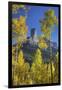 USA, Colorado, San Juan Mountains. Aspen trees frame Chimney Rock formation.-Jaynes Gallery-Framed Photographic Print