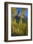 USA, Colorado, San Juan Mountains. Autumn aspen trees frame Chimney Rock.-Jaynes Gallery-Framed Photographic Print