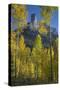 USA, Colorado, San Juan Mountains. Autumn aspen trees frame Chimney Rock.-Jaynes Gallery-Stretched Canvas