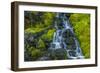 USA, Colorado, San Juan Mountains. Cascade Down Mossy Hillside-Jaynes Gallery-Framed Photographic Print