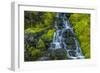 USA, Colorado, San Juan Mountains. Cascade Down Mossy Hillside-Jaynes Gallery-Framed Photographic Print