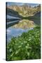 USA, Colorado, San Juan Mountains. Clear Lake Reflection and Marigolds-Jaynes Gallery-Stretched Canvas