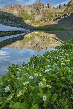 https://imgc.allpostersimages.com/img/posters/usa-colorado-san-juan-mountains-clear-lake-reflection-and-marigolds_u-L-Q12T20S0.jpg?artPerspective=n