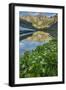 USA, Colorado, San Juan Mountains. Clear Lake Reflection and Marigolds-Jaynes Gallery-Framed Photographic Print