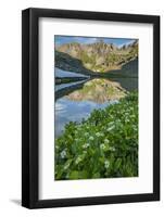 USA, Colorado, San Juan Mountains. Clear Lake Reflection and Marigolds-Jaynes Gallery-Framed Photographic Print