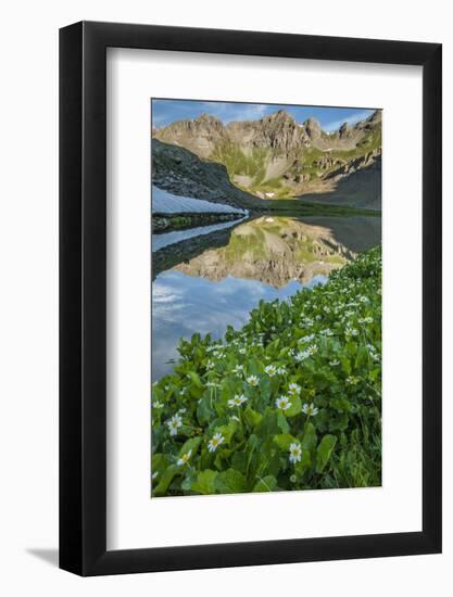 USA, Colorado, San Juan Mountains. Clear Lake Reflection and Marigolds-Jaynes Gallery-Framed Photographic Print