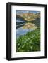 USA, Colorado, San Juan Mountains. Clear Lake Reflection and Marigolds-Jaynes Gallery-Framed Photographic Print