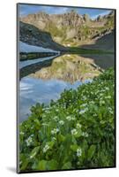 USA, Colorado, San Juan Mountains. Clear Lake Reflection and Marigolds-Jaynes Gallery-Mounted Photographic Print