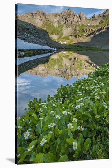 USA, Colorado, San Juan Mountains. Clear Lake Reflection and Marigolds-Jaynes Gallery-Stretched Canvas