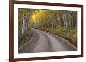 USA, Colorado, San Juan Mountains. Dirt road through aspen forest.-Jaynes Gallery-Framed Premium Photographic Print