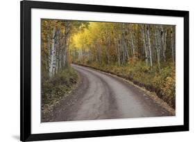 USA, Colorado, San Juan Mountains. Dirt road through aspen forest.-Jaynes Gallery-Framed Premium Photographic Print