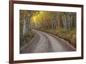 USA, Colorado, San Juan Mountains. Dirt road through aspen forest.-Jaynes Gallery-Framed Premium Photographic Print