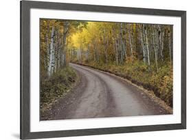 USA, Colorado, San Juan Mountains. Dirt road through aspen forest.-Jaynes Gallery-Framed Premium Photographic Print