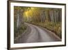 USA, Colorado, San Juan Mountains. Dirt road through aspen forest.-Jaynes Gallery-Framed Premium Photographic Print