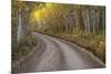 USA, Colorado, San Juan Mountains. Dirt road through aspen forest.-Jaynes Gallery-Mounted Premium Photographic Print