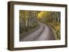 USA, Colorado, San Juan Mountains. Dirt road through aspen forest.-Jaynes Gallery-Framed Photographic Print