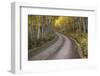 USA, Colorado, San Juan Mountains. Dirt road through aspen forest.-Jaynes Gallery-Framed Photographic Print