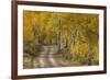 USA, Colorado, San Juan Mountains. Dirt road through aspen forest.-Jaynes Gallery-Framed Premium Photographic Print