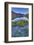 USA, Colorado, San Juan Mountains. Frosty morning at Crystal Lake.-Jaynes Gallery-Framed Photographic Print